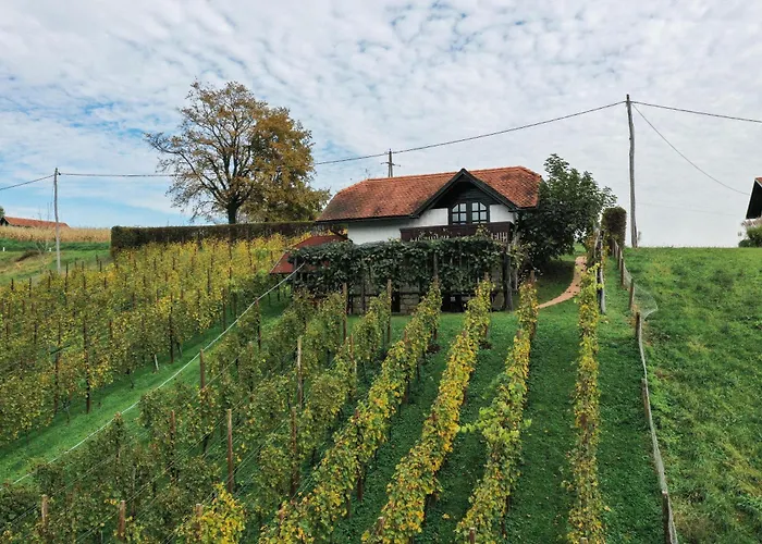 Hiska Brajda