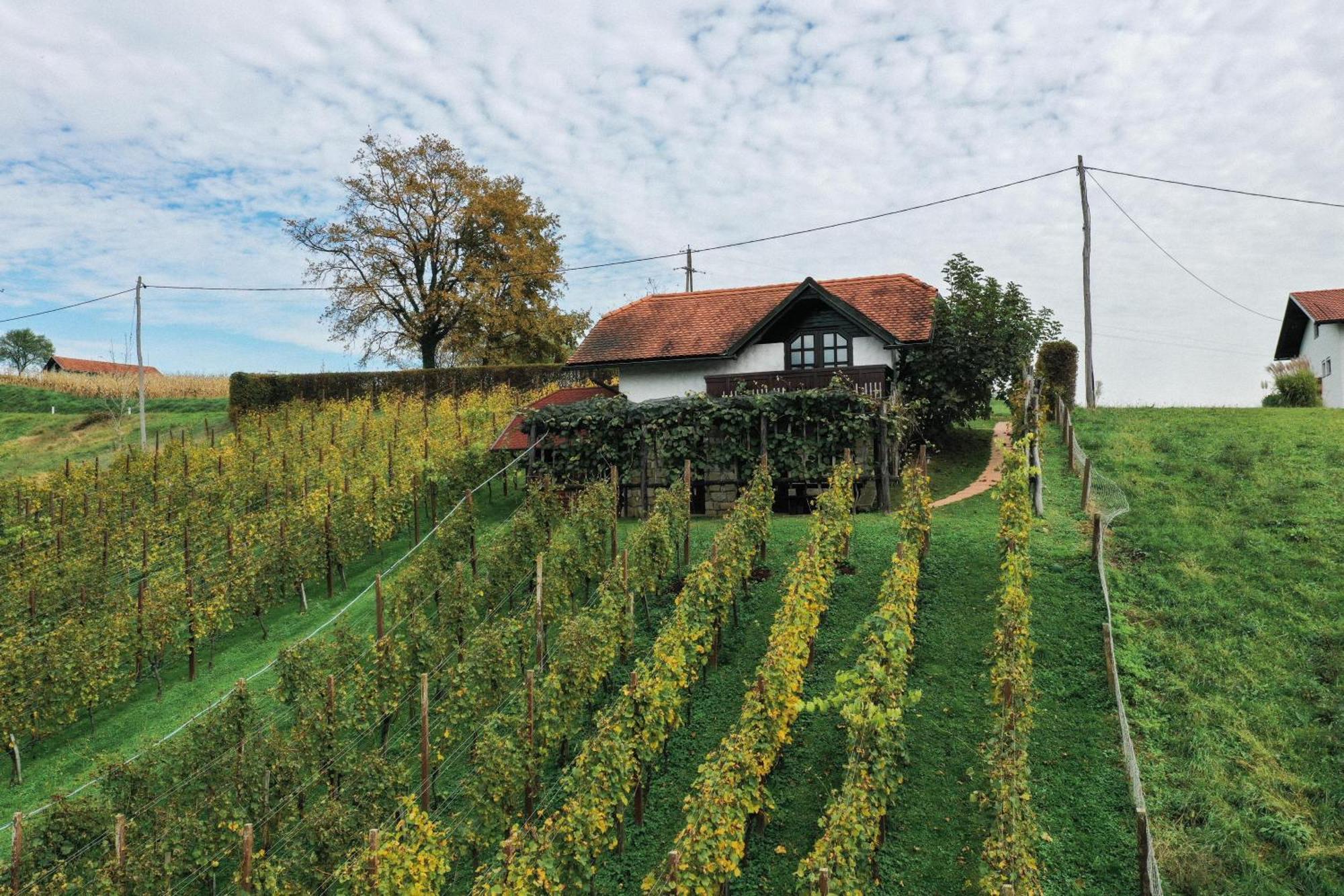Hiska Brajda Holiday home *
